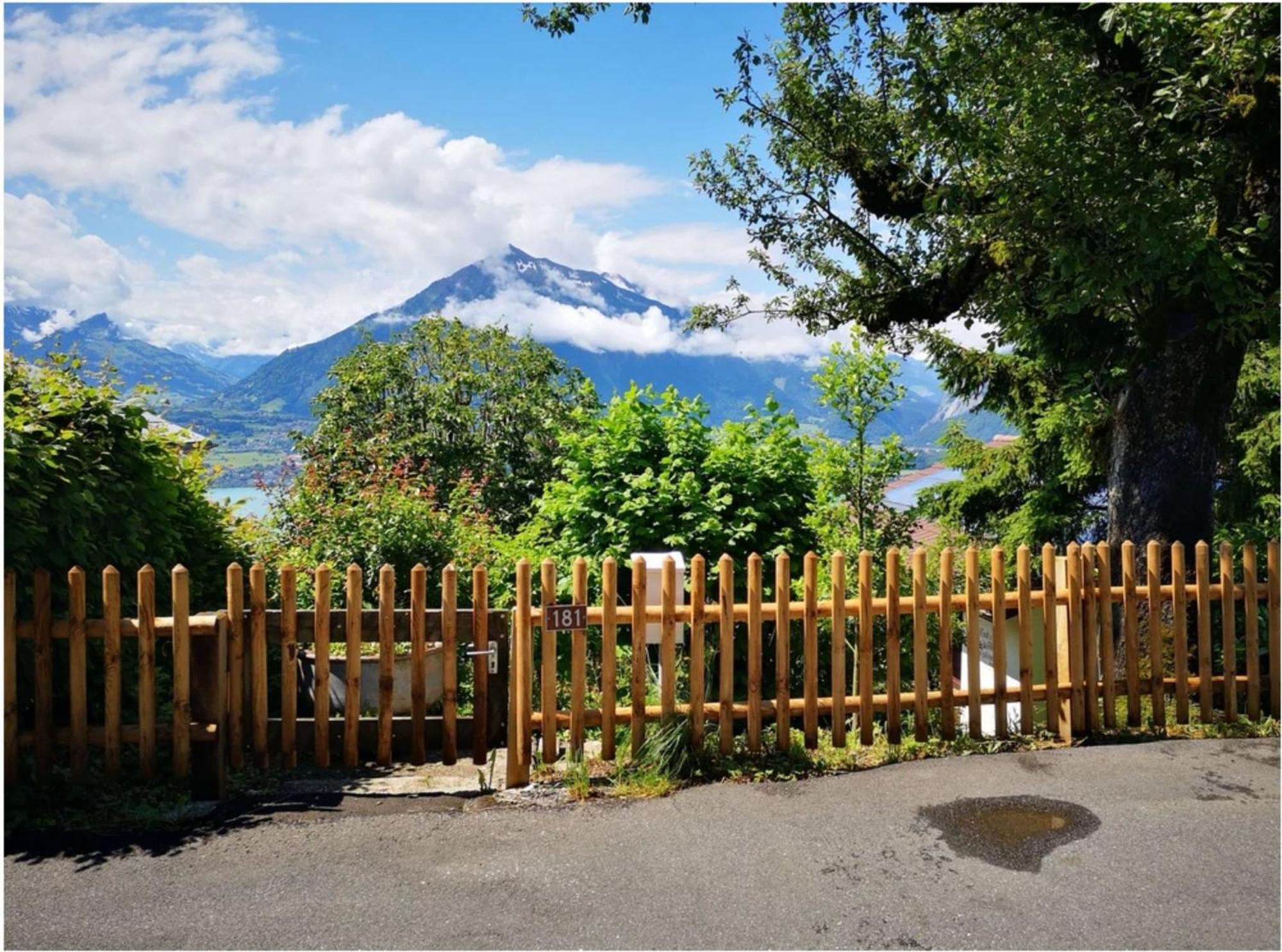 Chalet With View Of The Mountains And The Thun Lake Зігрісвіль Екстер'єр фото